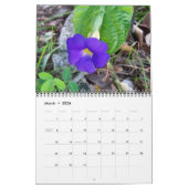 色カレンダー カレンダー (3月 2026)