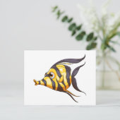 色ストライプ魚 ポストカード (スタンド正面)
