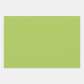 色モダン- 12ラッピング紙シートを設定 ラッピングペーパーシート (正面3)