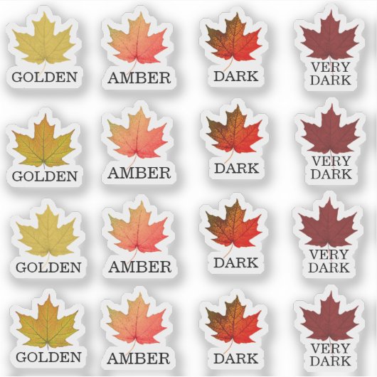 色付きのメープルリーフグレーディングステッカー シール (正面)
