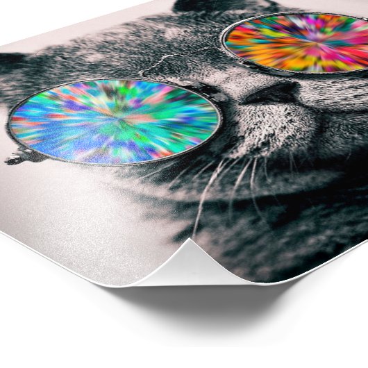 色付きの眼鏡を掛けた猫 フォトプリント (角)