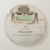 色付きアンティークマップカロライナ州フロリダの地図 ラウンドクッション (正面)