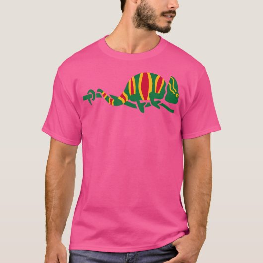 色付きカメレオン Tシャツ (正面)