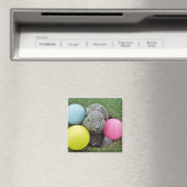 色付きゴルフボールのバニー マグネット (インサイチュ (食洗機))