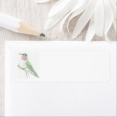 色付きハミングバードスケッチラベル ラベル (インサイチュ)