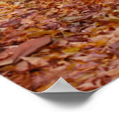 色付きパス ポスター (角)