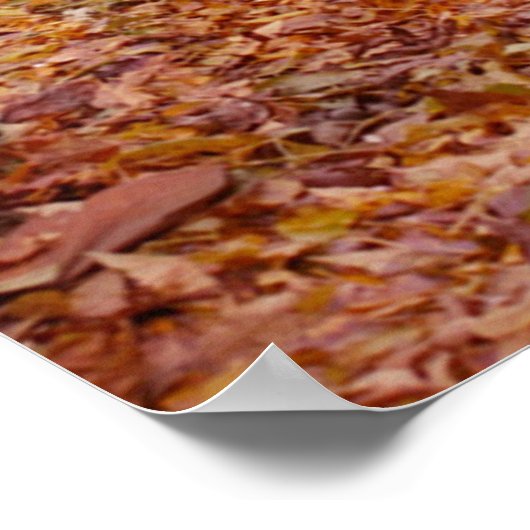 色付きパス ポスター (角)