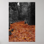 色付きパス ポスター (正面)