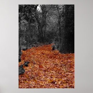 色付きパス ポスター