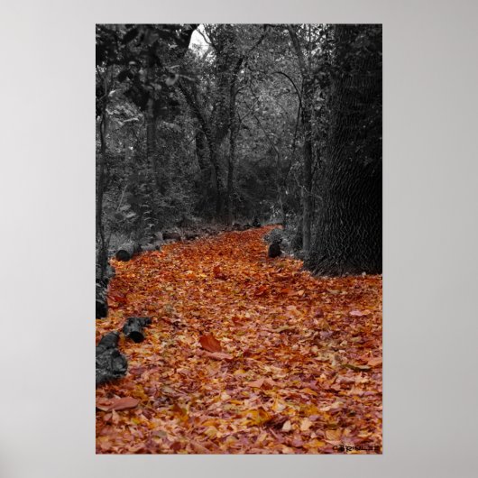 色付きパス ポスター (正面)