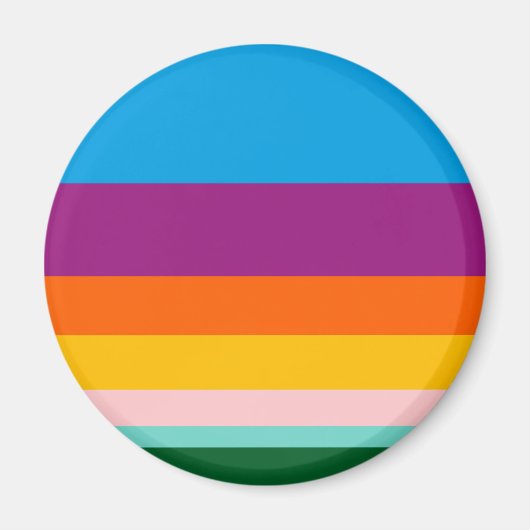 色付き線 マグネット (正面)