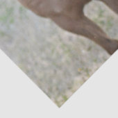 色付き馬 薄葉紙 (詳細)