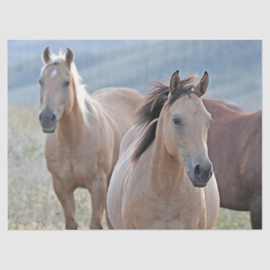 色付き馬 薄葉紙 (正面)