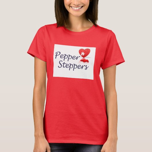 色入り女性用シャツ Tシャツ (正面)