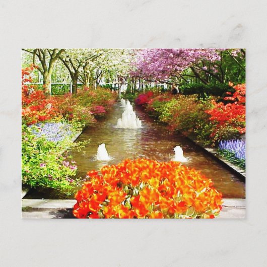 色彩のライフ ポストカード (正面)