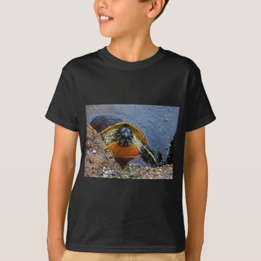 色彩の鮮やかなカメ Tシャツ (正面)