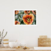 色彩の鮮やかなチューリップ ポスター (キッチン)