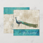 色彩の鮮やかな孔雀の海の青及び白いヴィンテージInvitatio 招待状 (正面/裏面)