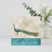 色彩の鮮やかな孔雀の海の青及び白いヴィンテージInvitatio 招待状 (スタンド正面)