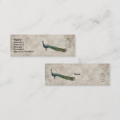 色彩の鮮やかな孔雀の白いヴィンテージの名刺かラベル スキニー名刺 (正面/裏面)