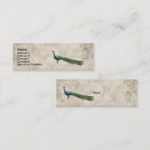 色彩の鮮やかな孔雀の白いヴィンテージの名刺かラベル スキニー名刺 (正面/裏面)