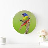 色彩の鮮やかな旗布(Passerinaのciris)の男性はとまりました ラージ壁時計 (ホーム)