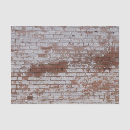 色彩の鮮やかな煉瓦 薄葉紙 (正面)