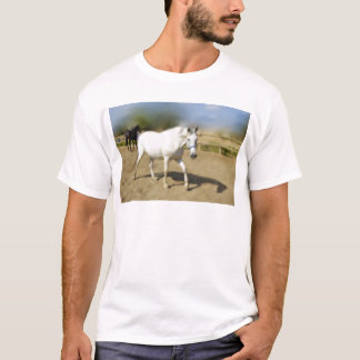 色彩の鮮やかな白馬 Tシャツ