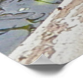 色彩の鮮やか亀サンニングポスター ポスター (角)