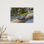 色彩の鮮やか亀サンニングポスター ポスター (キッチン)