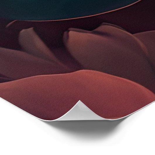 色彩の鮮やか咲はっきりしたき4:3 ポスター (角)