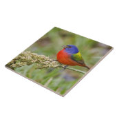 色彩の鮮やか文食べ物を与え文 タイル (側面)