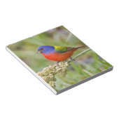 色彩の鮮やか文食べ物を与え文 ノートパッド (アングル)