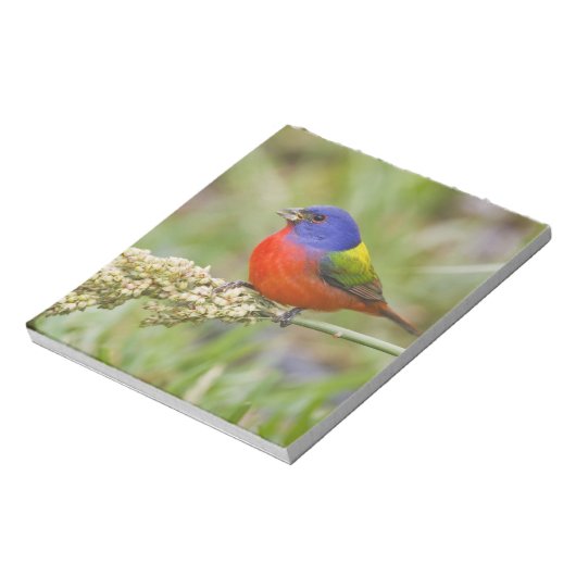 色彩の鮮やか文食べ物を与え文 ノートパッド (回転)