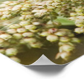 色彩の鮮やか文食べ物を与え文 ポスター (角)