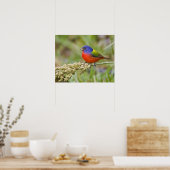 色彩の鮮やか文食べ物を与え文 ポスター (キッチン)