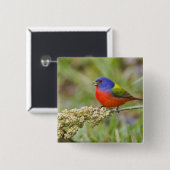 色彩の鮮やか文食べ物を与え文 缶バッジ (正面&裏面)