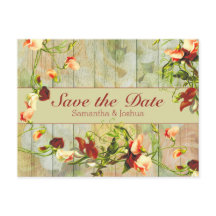 色彩の鮮やか春の花