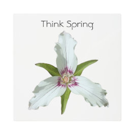 色彩の鮮やか春ワイルドフラワーメタルウォールアート メタルプリント