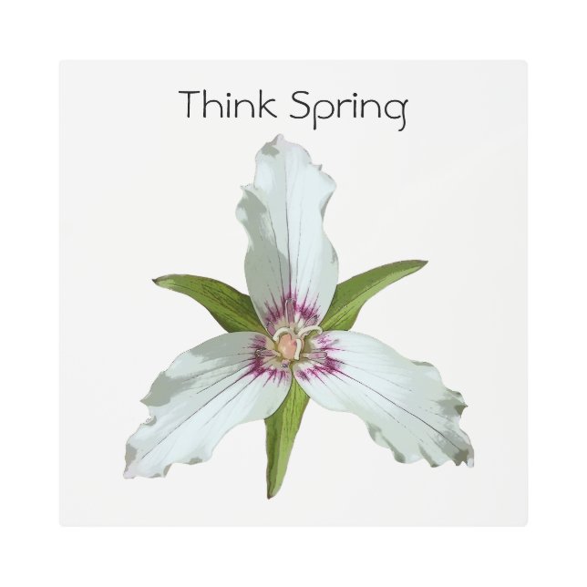 色彩の鮮やか春ワイルドフラワーメタルウォールアート メタルプリント (正面)