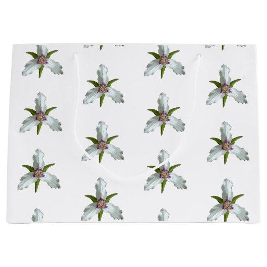 色彩の鮮やか春野草模様 ラージペーパーバッグ (正面)