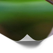 色彩の鮮やか束ポスター ポスター (角)