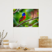 色彩の鮮やか束ポスター ポスター (キッチン)