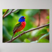 色彩の鮮やか束ポスター ポスター (正面)