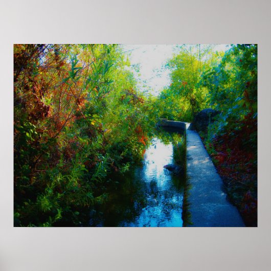 「色彩の鮮やか水」 ポスター (正面)