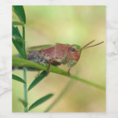 色彩の鮮やか草花グラスパーワインラベル ワインラベル (シングルラベル)