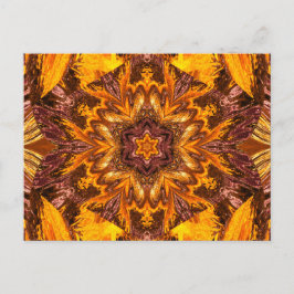 色彩の鮮やか蓮16 ポストカード