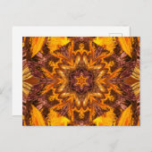 色彩の鮮やか蓮16 ポストカード (正面/裏面)