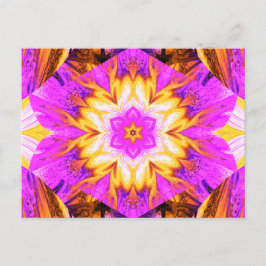 色彩の鮮やか蓮1 ポストカード