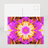 色彩の鮮やか蓮1 ポストカード (正面/裏面)